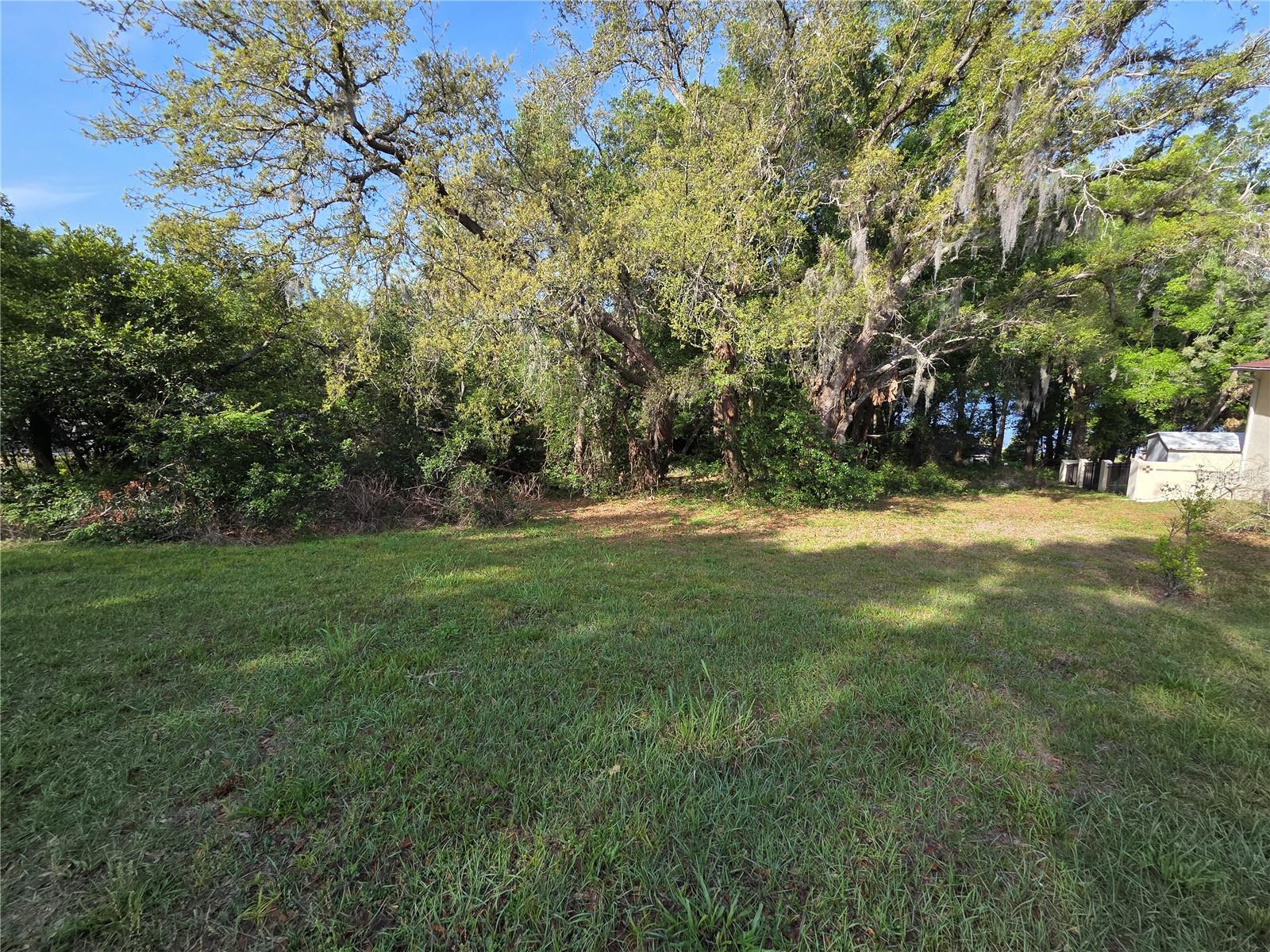 EUSTIS LAKE NETTIE COURT - Land