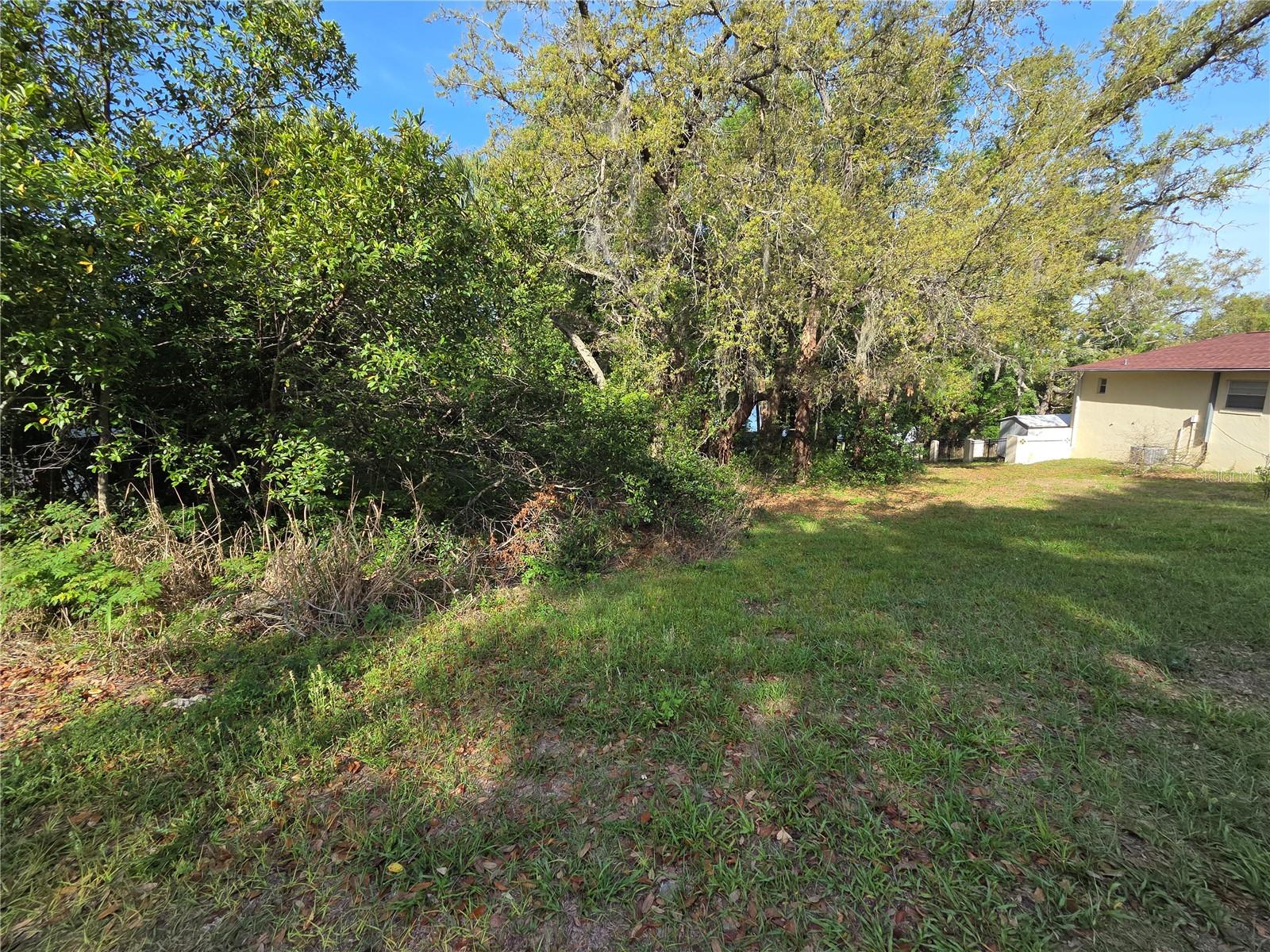 EUSTIS LAKE NETTIE COURT - Land