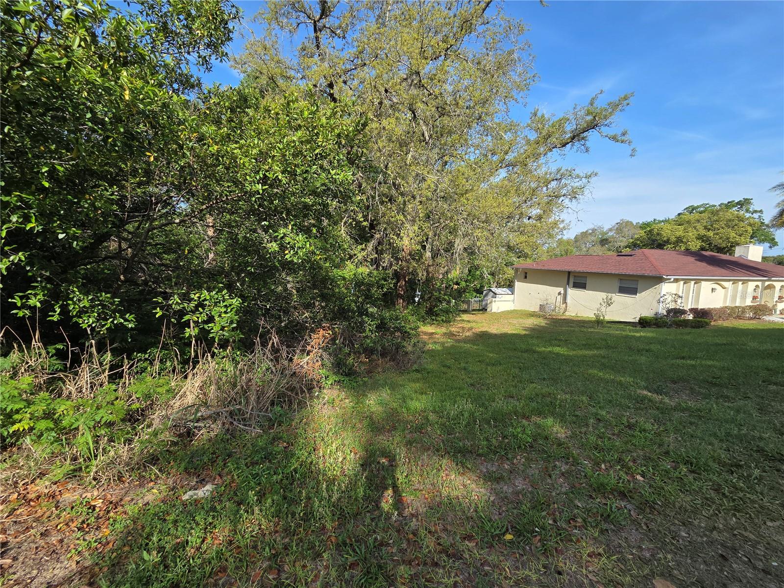 EUSTIS LAKE NETTIE COURT - Land