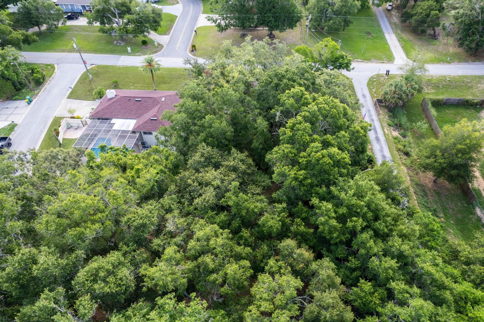 EUSTIS LAKE NETTIE COURT - Land