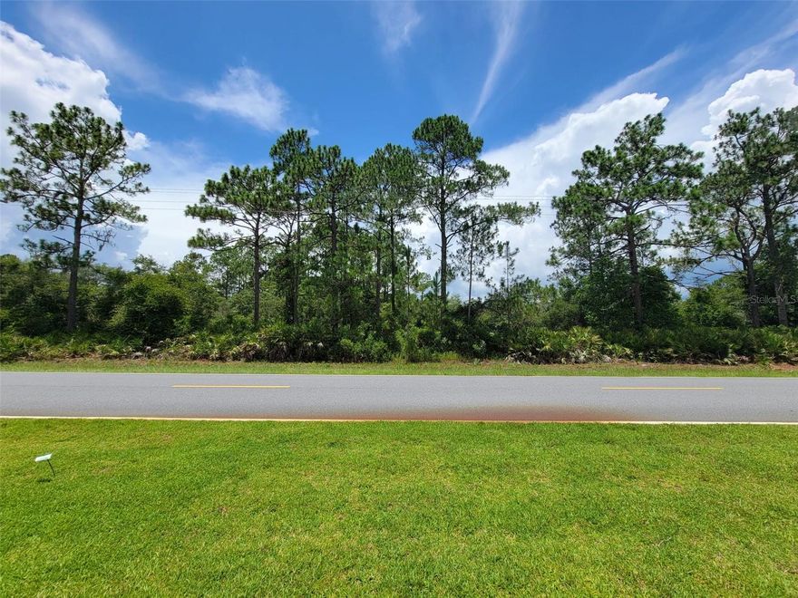 Don’t miss a chance to build your dream home on this 1 Acre lot located in the amazing community of Royal Trails.   This lot and community has so much to offer, you have playgrounds, access to lakes for boating and fishing, and the lot will allow you to have horses.   You are minutes from the growing downtown of Eutis as well a short ride to the charming downtown of Mt Dora with its amazing shops and restaurants.   Call today with your questions we look forward to helping you.