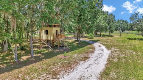 Tiny photo for 16758 NE 135th Avenue, Fort Mccoy, FL 32134 (MLS # O6309611)