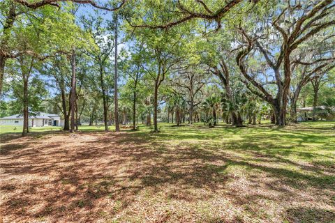 Tiny photo for 16758 NE 135th Avenue, Fort Mccoy, FL 32134 (MLS # O6309611)