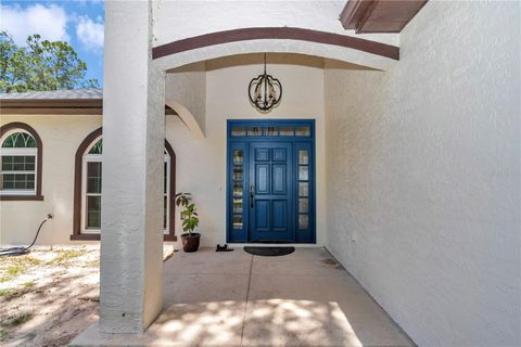 Tiny photo for 16758 NE 135th Avenue, Fort Mccoy, FL 32134 (MLS # O6309611)