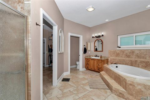 Tiny photo for 16758 NE 135th Avenue, Fort Mccoy, FL 32134 (MLS # O6309611)