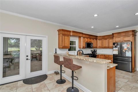 Tiny photo for 16758 NE 135th Avenue, Fort Mccoy, FL 32134 (MLS # O6309611)