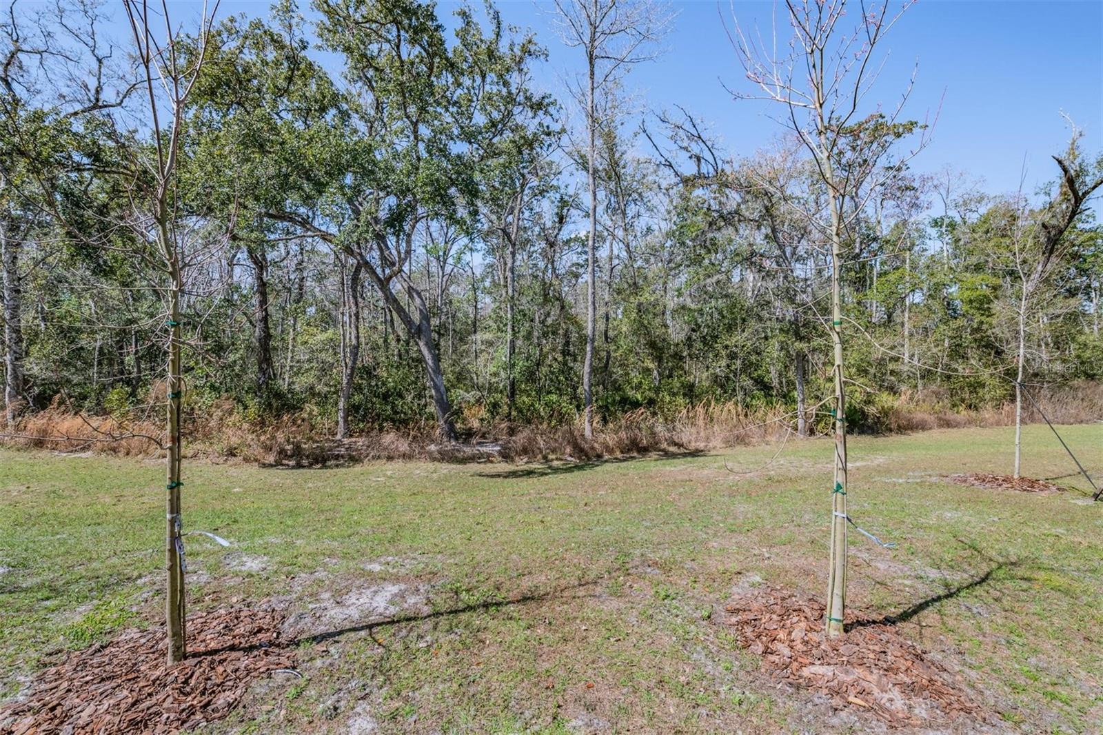 ANGELINE PH 3C - Residential