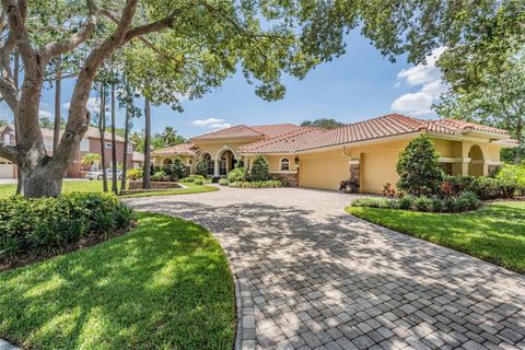 A home in TARPON SPRINGS