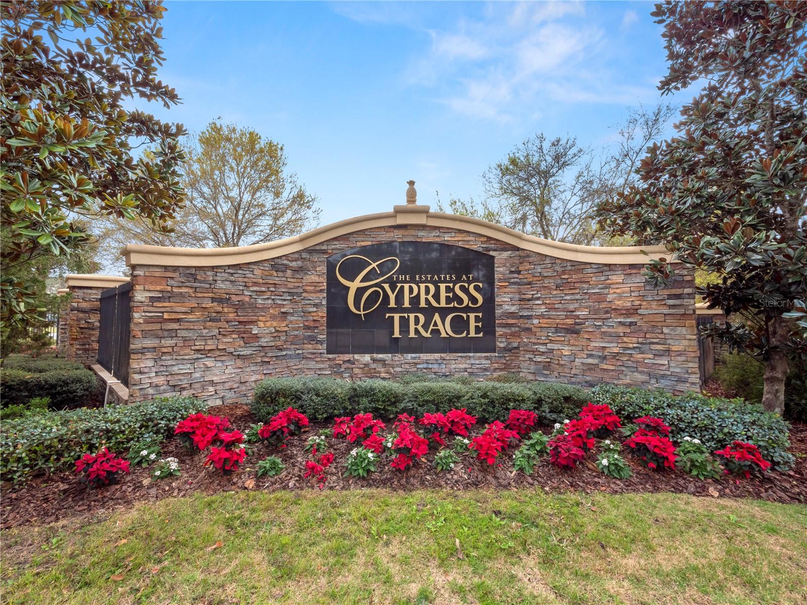ESTATES AT CYPRESS TRACE - Residential