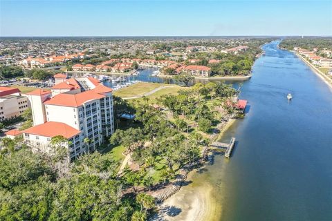 A home in PALM COAST