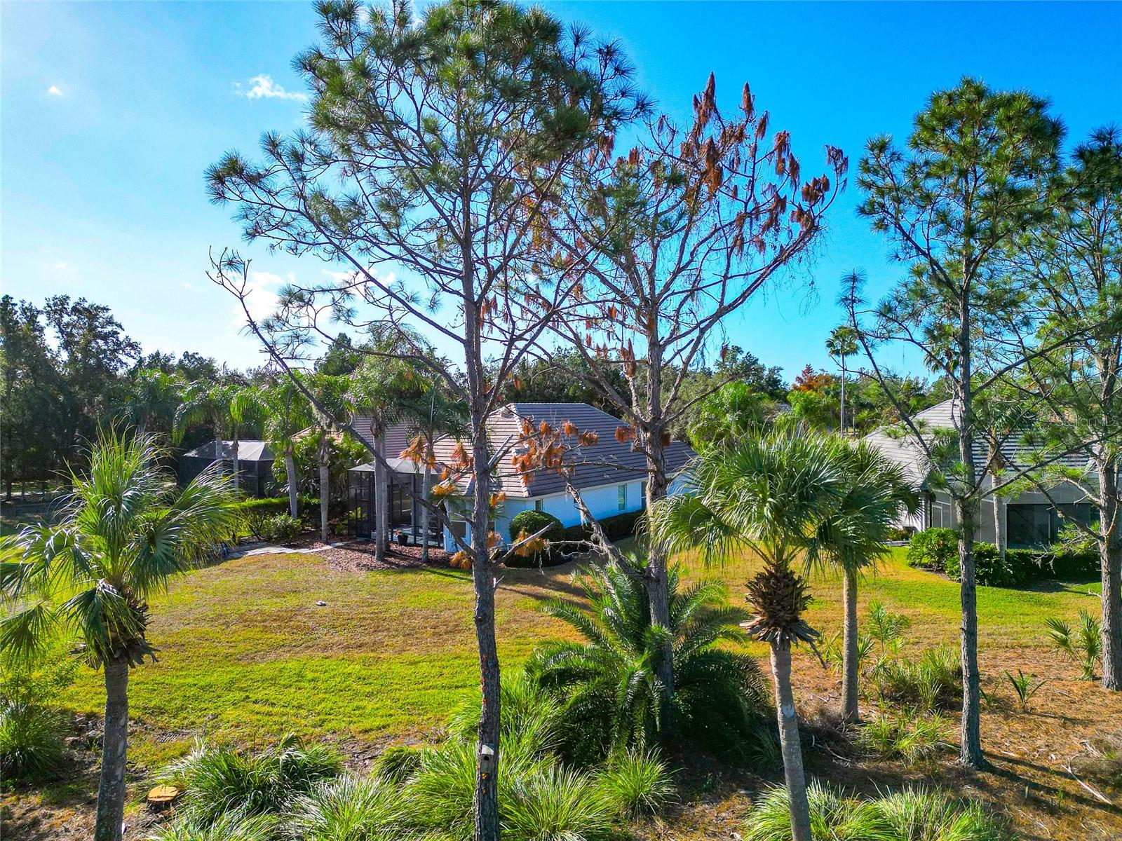 LAKEWOOD RANCH CC SP L M N O - Residential