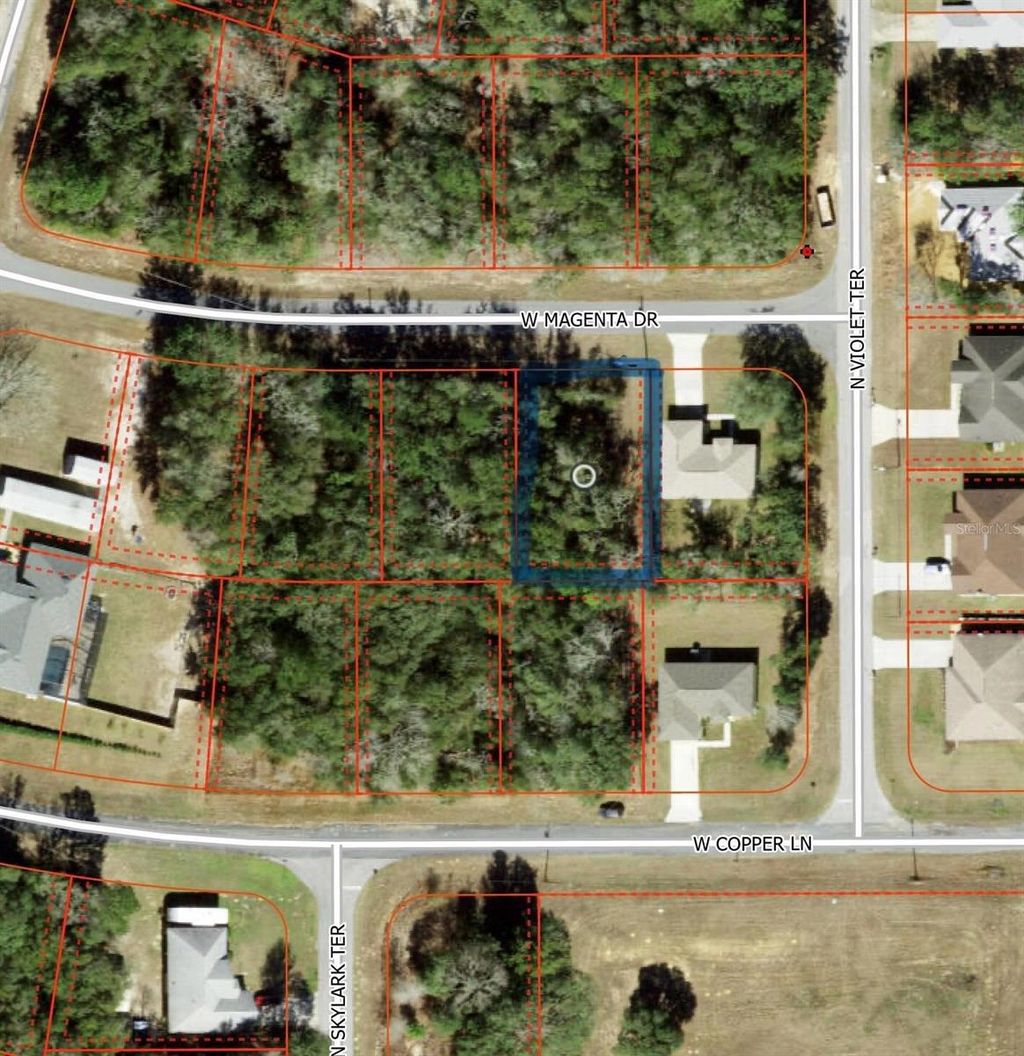 Photo of 2493 W Magenta Drive, Citrus Springs, FL 34434 (MLS # O6356123)