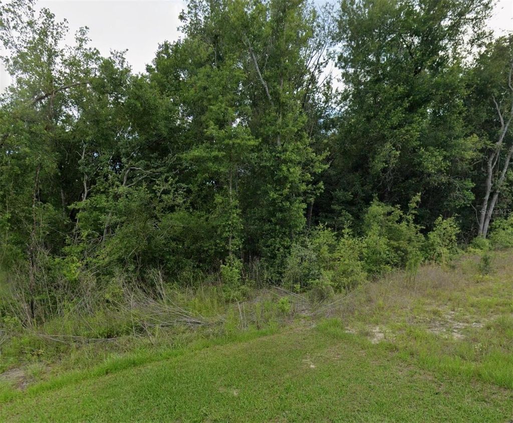 Photo of 2493 W Magenta Drive, Citrus Springs, FL 34434 (MLS # O6356123)