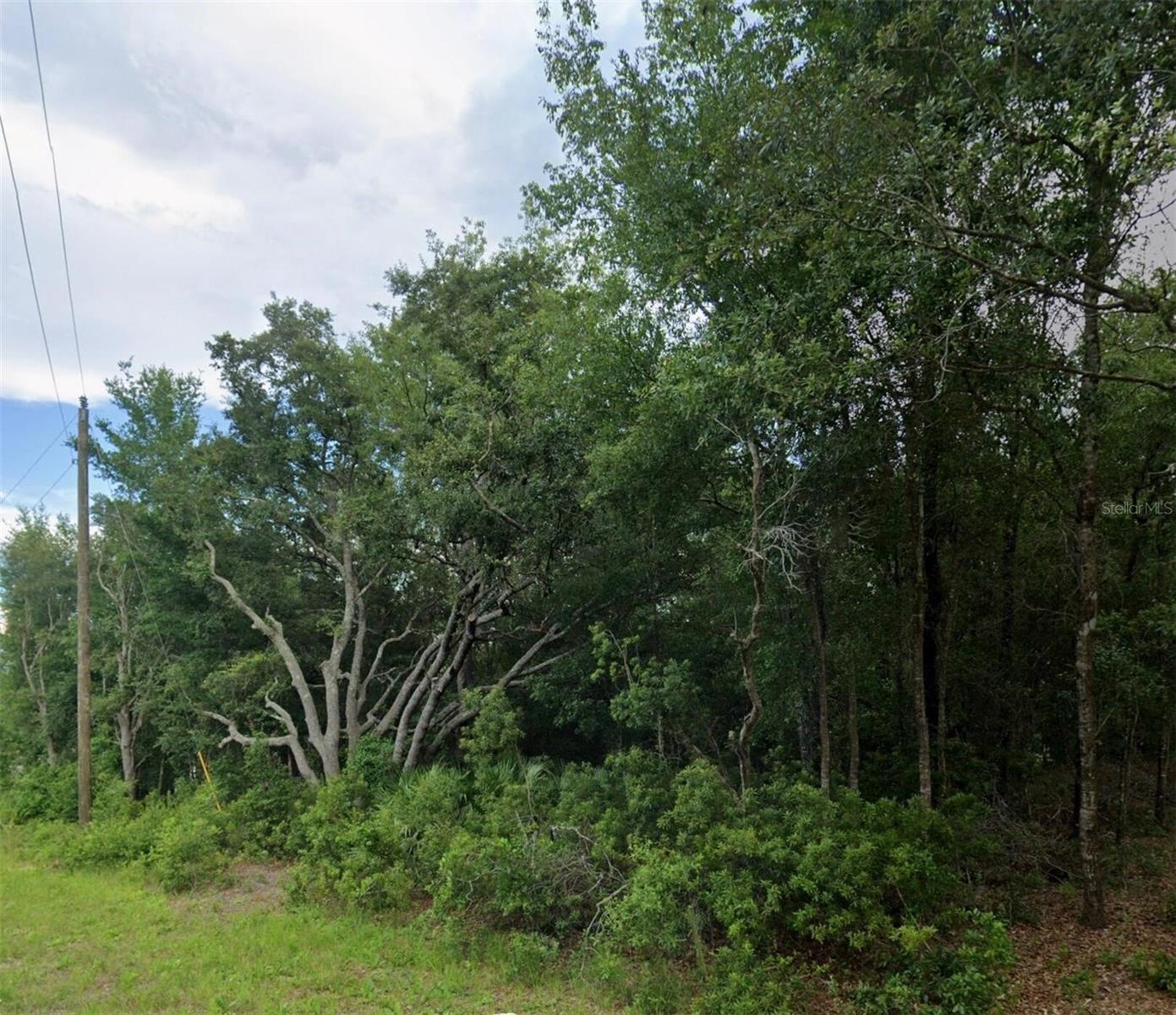 CITRUS SPGS UNIT 27 - Land