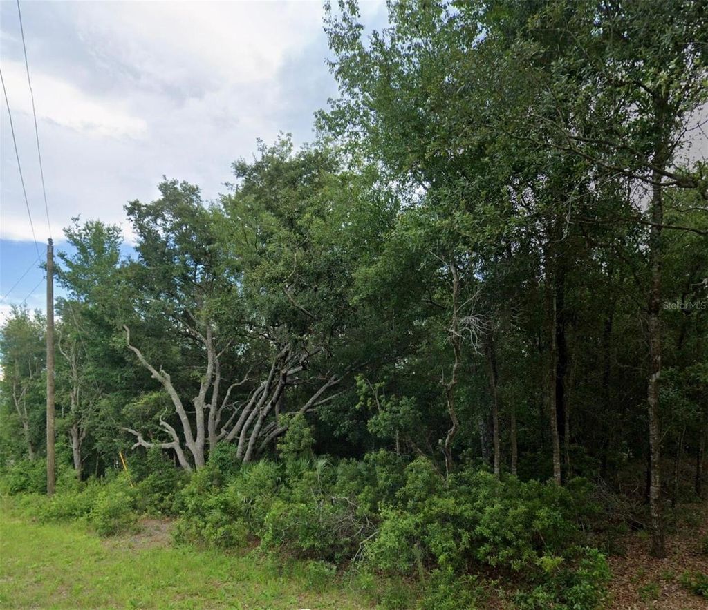 Photo of 2493 W Magenta Drive, Citrus Springs, FL 34434 (MLS # O6356123)