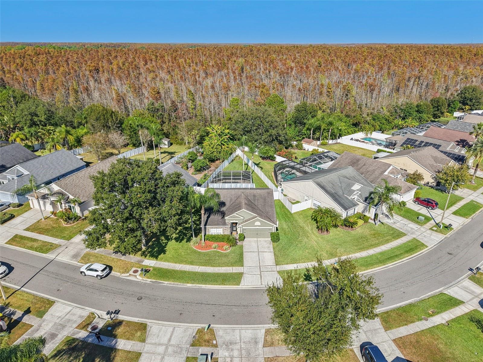 CALUSA TRACE UNIT IX PH II - Residential