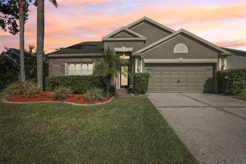 4511 GULFWINDS DRIVE LUTZ FL 33558