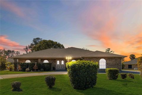 A home in DELTONA