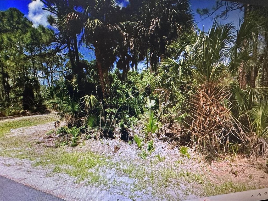 Photo of 271 J T Sancho Street SW, Palm Bay, FL 32908 (MLS # A4596897)