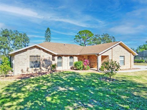 A home in DELTONA