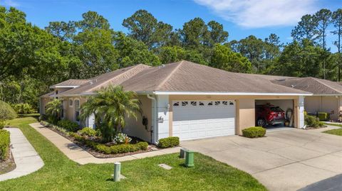 Photo of 4425 Connery Court, Palm Harbor, FL 34685 (MLS # TB8376230)