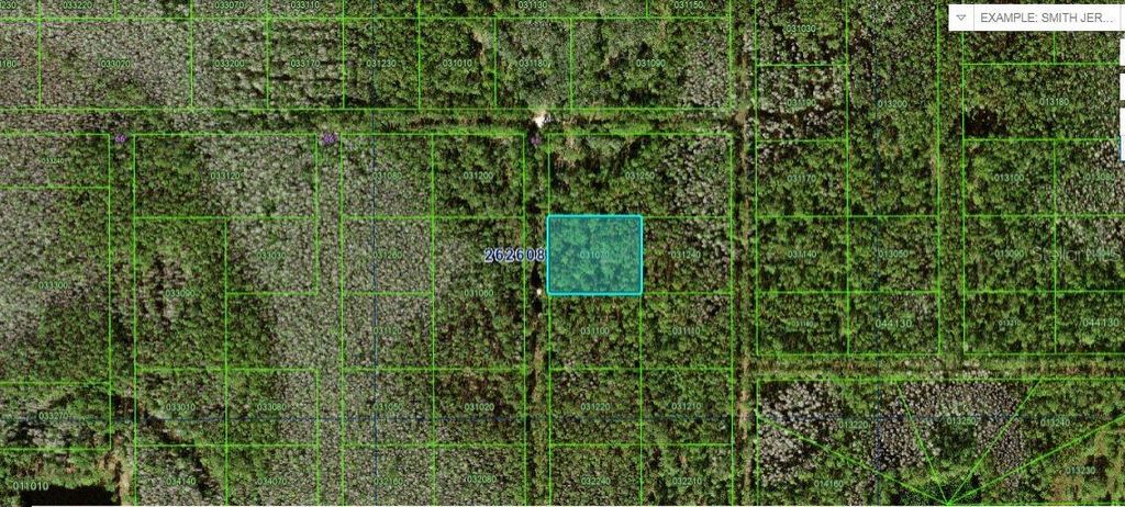 Photo of N/A, Polk City, FL 33868 (MLS # O6228311)