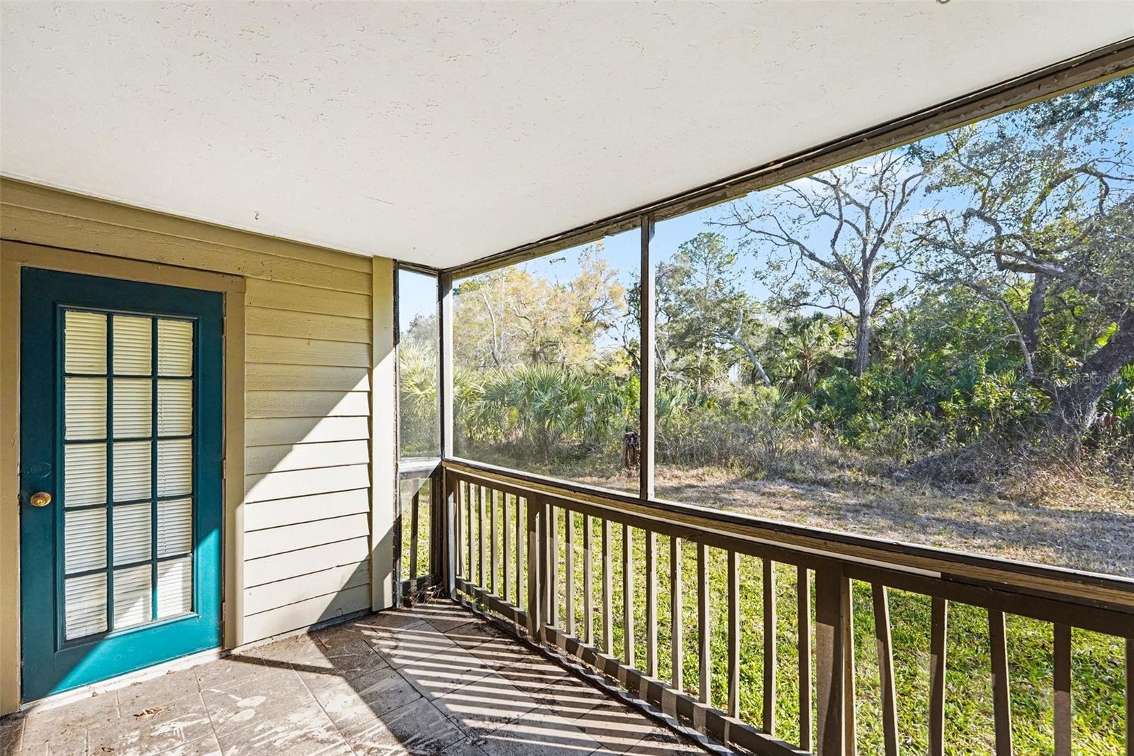 ENCLAVE AT ST PETERSBURG - Residential