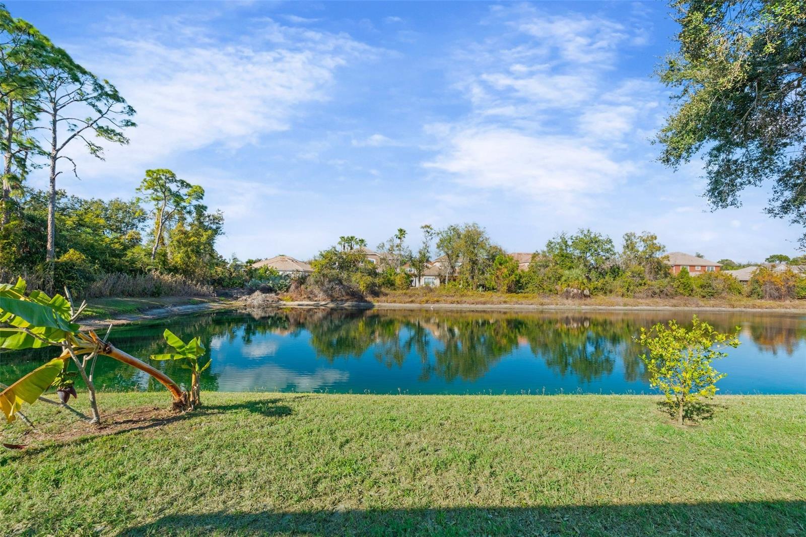 PALM WEST - Residential