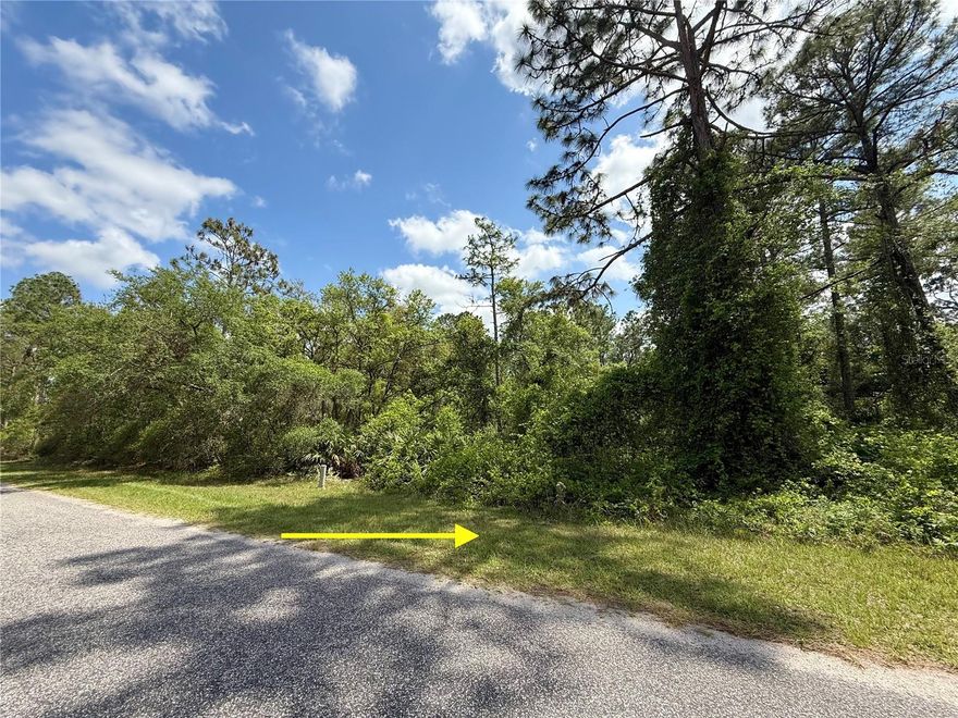 This 1-acre parcel for sale in the Equestrian Royal Trails Subdivision. With no time limit to build, you have the flexibility to design your home at your own pace, and you’re free to bring your own builder. The minimum square footage for construction is 1,200 sq. ft., and once your home is built, you can park your RV and boat on the property. The lot measures 150 x 290 feet, providing plenty of space for your new home, a pool, or even a storage building. It's recommended to obtain a survey to ensure accurate property dimensions. The subdivision features a community building and a playground, offering fun activities throughout the year for residents. With deeded access to both Lake Norris and Lake Marion, you'll have plenty of opportunities for boating, kayaking. The HOA fee is just $92.00 annually, and you’ll enjoy miles of county-maintained roads perfect for jogging, biking, or walking. No manufacture, modular or mobiles allowed by deed restrictions.