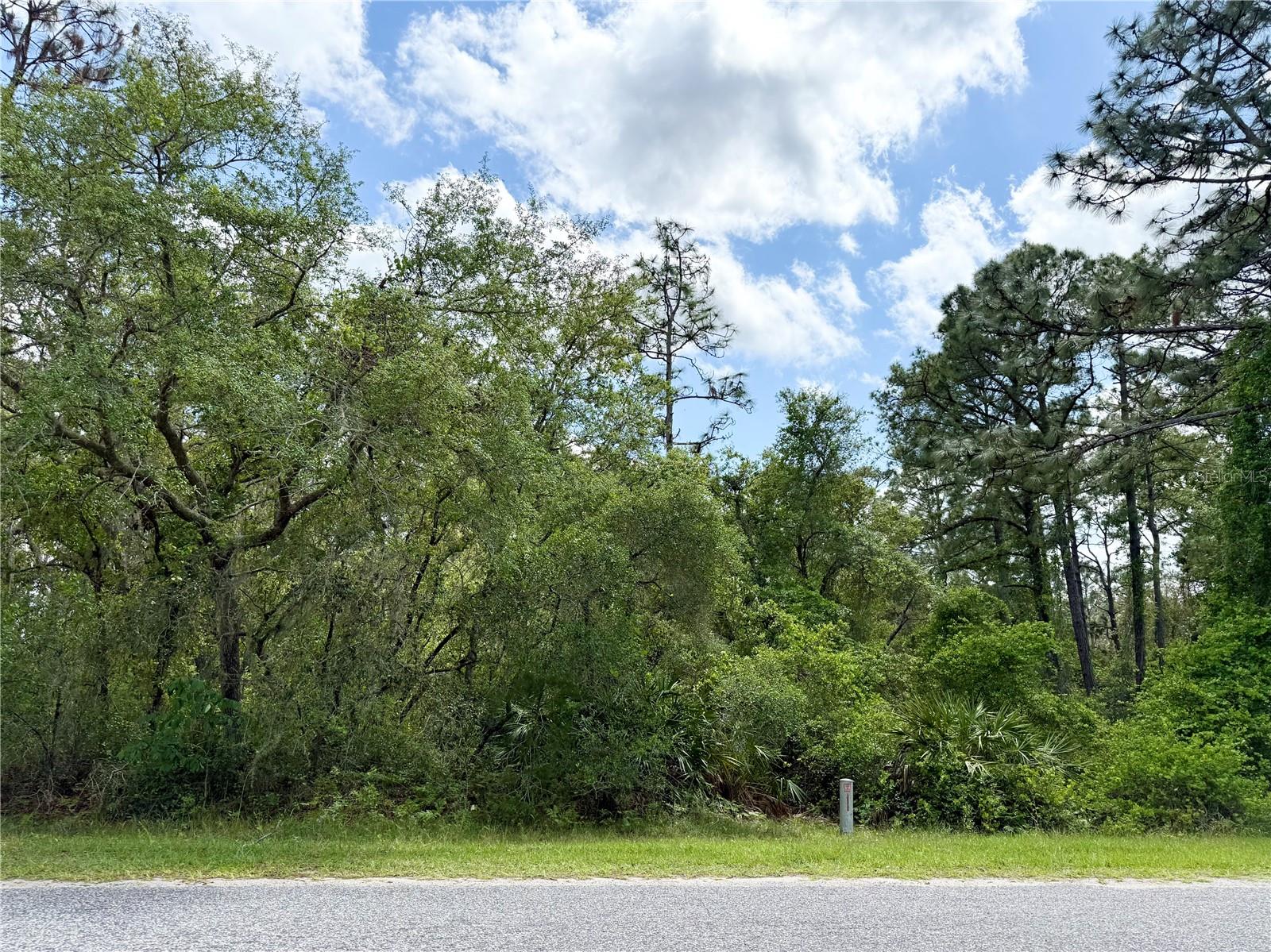 This 1-acre parcel for sale in the Equestrian Royal Trails Subdivision. With no time limit to build, you have the flexibility to design your home at your own pace, and you’re free to bring your own builder. The minimum square footage for construction is 1,200 sq. ft., and once your home is built, you can park your RV and boat on the property. The lot measures 150 x 290 feet, providing plenty of space for your new home, a pool, or even a storage building. It's recommended to obtain a survey to ensure accurate property dimensions. The subdivision features a community building and a playground, offering fun activities throughout the year for residents. With deeded access to both Lake Norris and Lake Marion, you'll have plenty of opportunities for boating, kayaking. The HOA fee is just $92.00 annually, and you’ll enjoy miles of county-maintained roads perfect for jogging, biking, or walking. No manufacture, modular or mobiles allowed by deed restrictions.