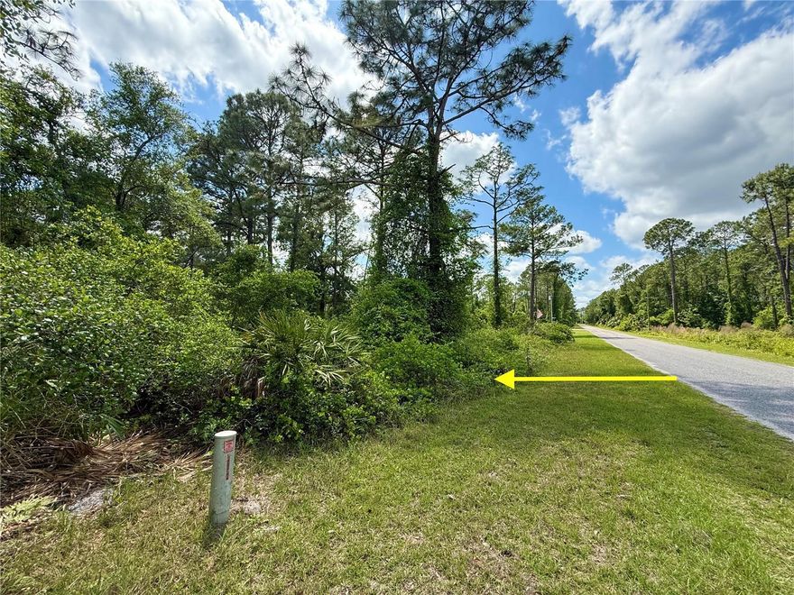 This 1-acre parcel for sale in the Equestrian Royal Trails Subdivision. With no time limit to build, you have the flexibility to design your home at your own pace, and you’re free to bring your own builder. The minimum square footage for construction is 1,200 sq. ft., and once your home is built, you can park your RV and boat on the property. The lot measures 150 x 290 feet, providing plenty of space for your new home, a pool, or even a storage building. It's recommended to obtain a survey to ensure accurate property dimensions. The subdivision features a community building and a playground, offering fun activities throughout the year for residents. With deeded access to both Lake Norris and Lake Marion, you'll have plenty of opportunities for boating, kayaking. The HOA fee is just $92.00 annually, and you’ll enjoy miles of county-maintained roads perfect for jogging, biking, or walking. No manufacture, modular or mobiles allowed by deed restrictions.