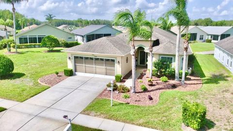 Photo of 1146 Dustan Place, Trinity, FL 34655 (MLS # W7888001)