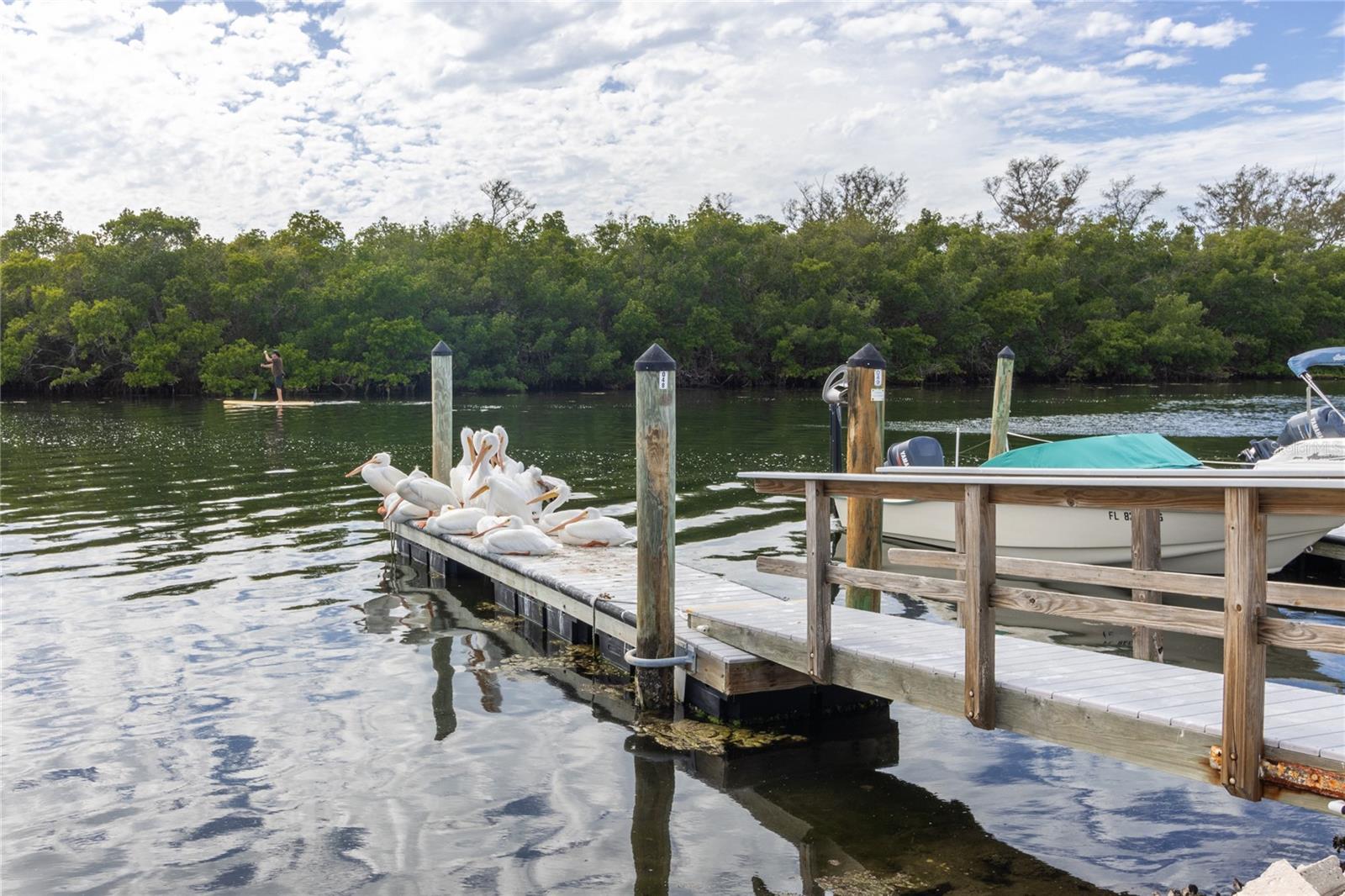 PARADISE BAY ESTATES CO-OP - Residential