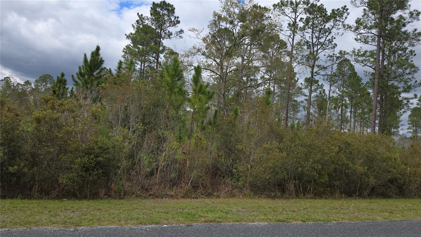 WOODS AT FALLING CREEK - Land
