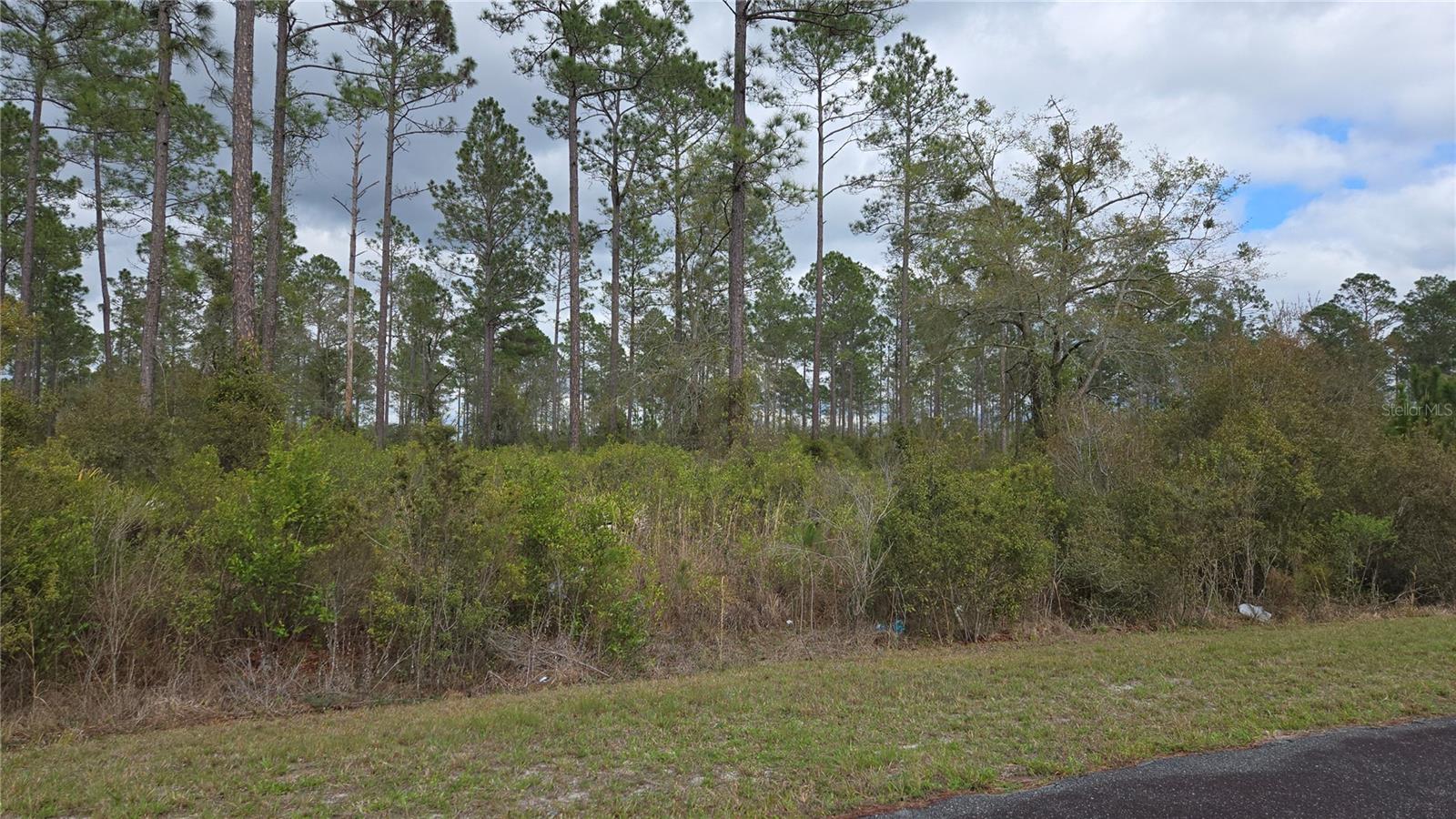 WOODS AT FALLING CREEK - Land