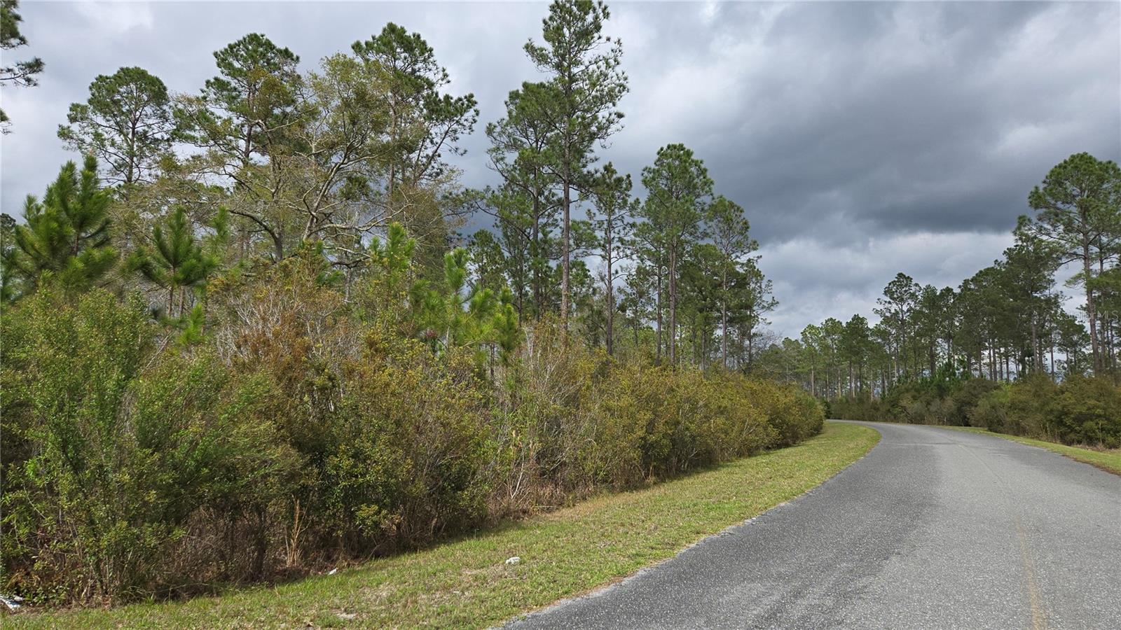 WOODS AT FALLING CREEK - Land