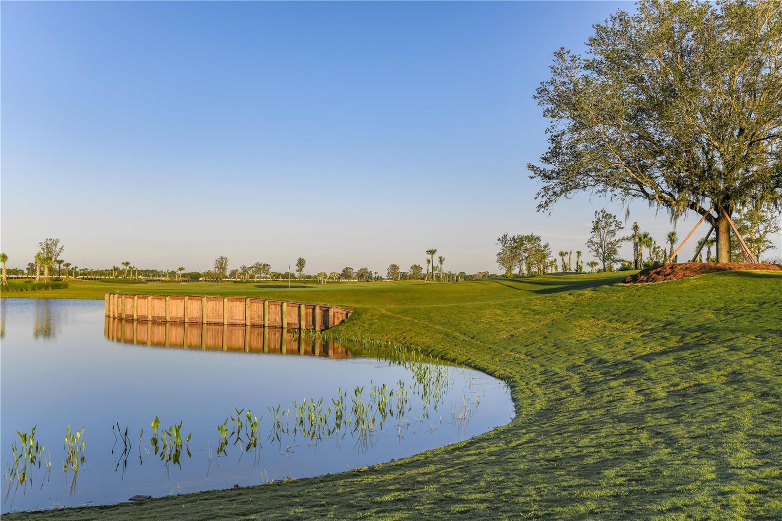 AZARIO ESPLANADE - Residential