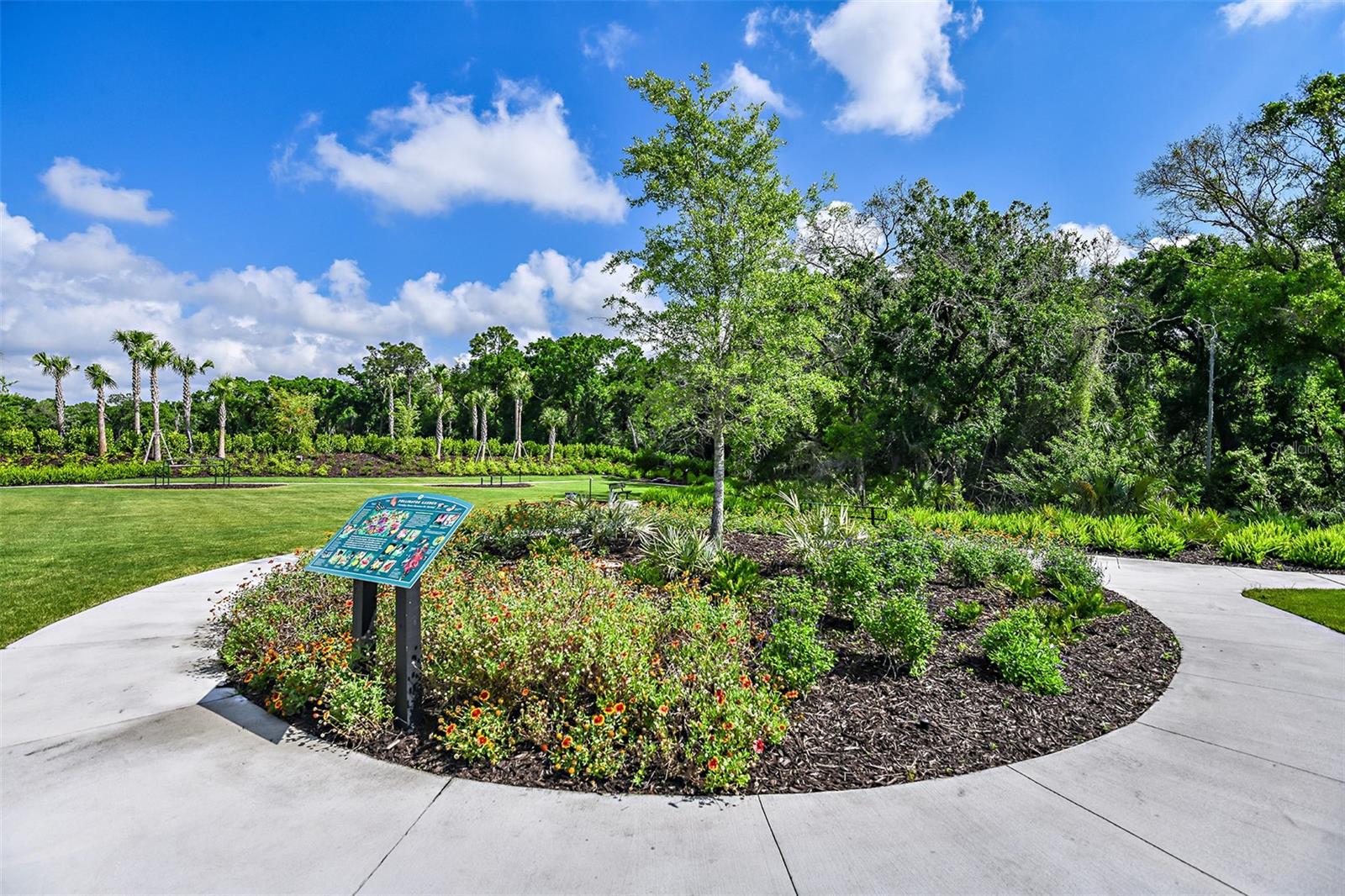 AZARIO ESPLANADE - Residential