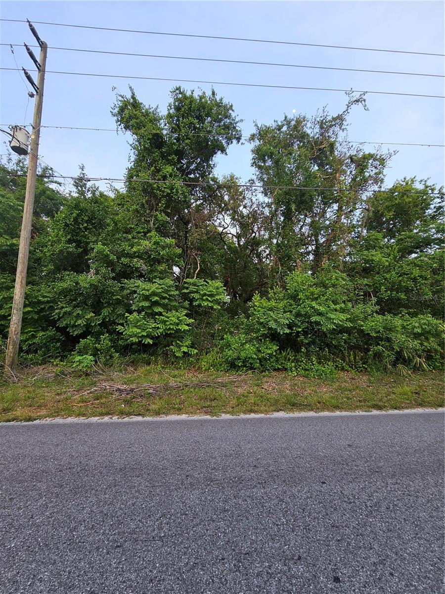 Welcome to your vacant land open canvas property at Moon Lake Estates! This plot of land residential land is available for you to use to build your dream home or to keep as an investment. This up and coming neighborhood of Moon Lake Estates boasts quiet roads and an amazing Moon Lake public Park, nestled on Moon Lake. With AR (agricultural-residential) zoning, this property has even more potential for development! This property is not located in a flood zone, so no flood insurance is required. Return to a quiet, more simple way of life with your new land purchase. The sellers for this plot are also selling multiple other plots of land in Moon Lakes Estates. Please inquire with your real estate agent or with the listing agent for more information. All statements in the listing are believed to be true and reliable by the seller and listing agent. Buyer and buyer's agent should verify all facts, statements, and measurements.