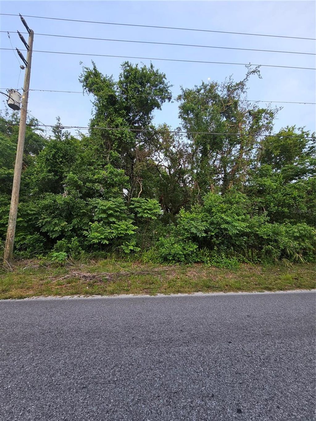 Photo of 00 Lake Drive, New Port Richey, FL 34654 (MLS # TB8383093)