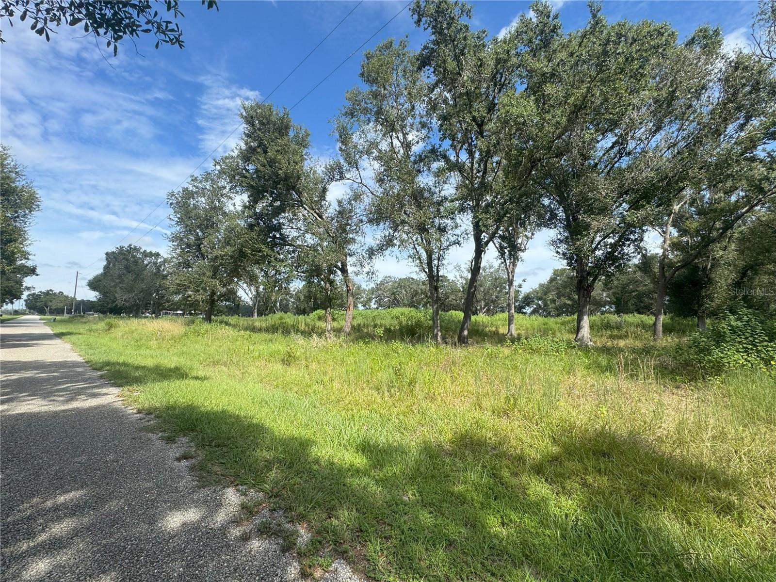 Two and a half acres in Ona ready for your vision. Vacant land in this area does not come up for sale often so this is your chance to secure a property that offers both privacy and potential. The majority of the land is already cleared and a culvert is in place, making it easier to move forward with your plans. The road is paved for easy access and you are only a quick 15 minute drive to town for all the local amenities you may need. The setting itself is what makes this spot special. You will love the natural beauty with scattered trees along the perimeter and the amount of wildlife that calls this property home. Expect to see deer, turkeys, birds and more on any given day. This is where you buy if you want to escape the hustle and bustle of life and still be close enough to conveniences when you want them. Create your dream space, enjoy the peace and quiet, and soak up everything that makes Ona living so desirable.