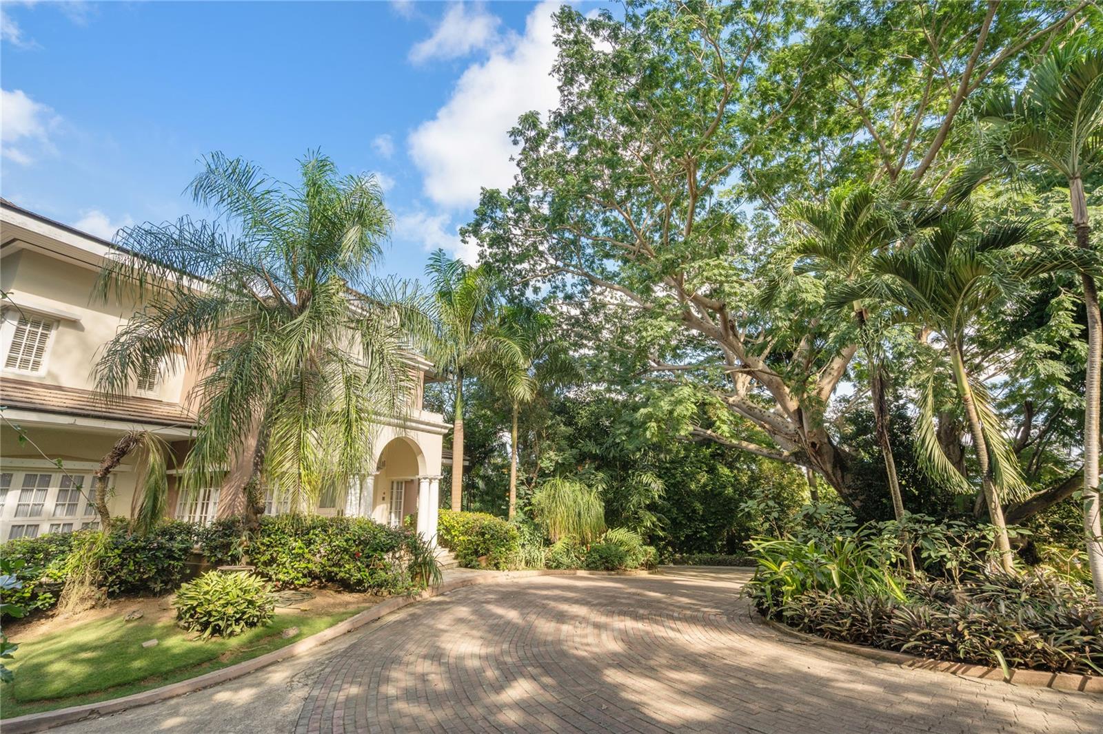 513 TINTILLO STREET STREET