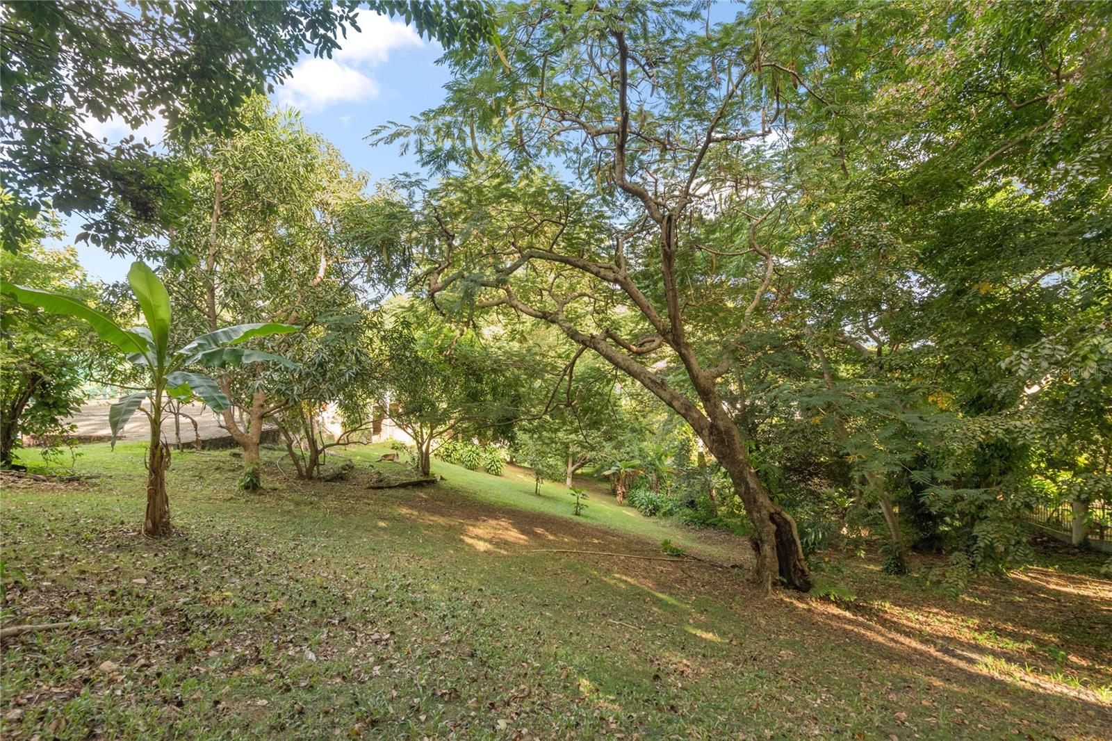 TINTILLO HILLS - Residential