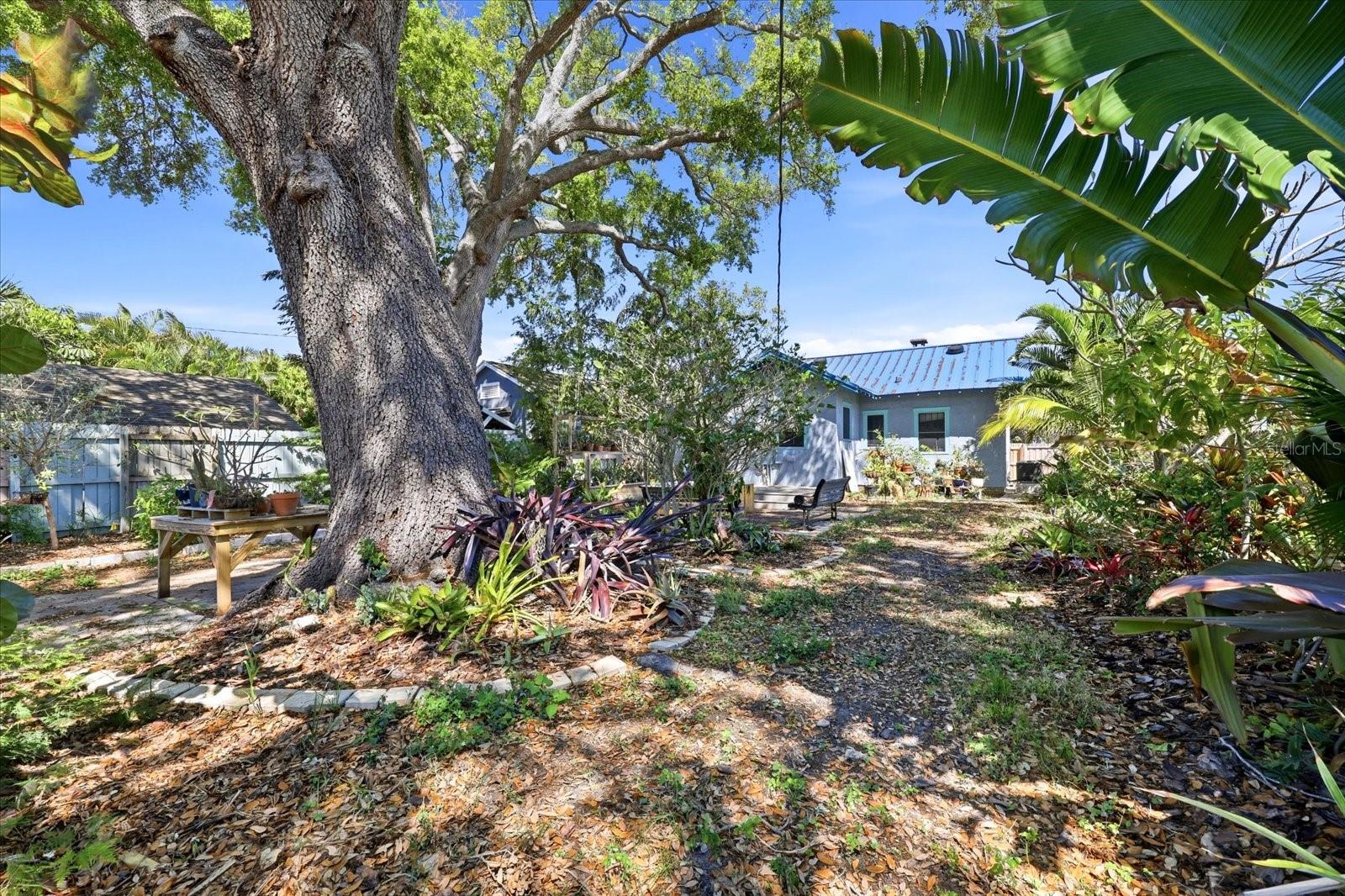 PINEWOOD - Residential