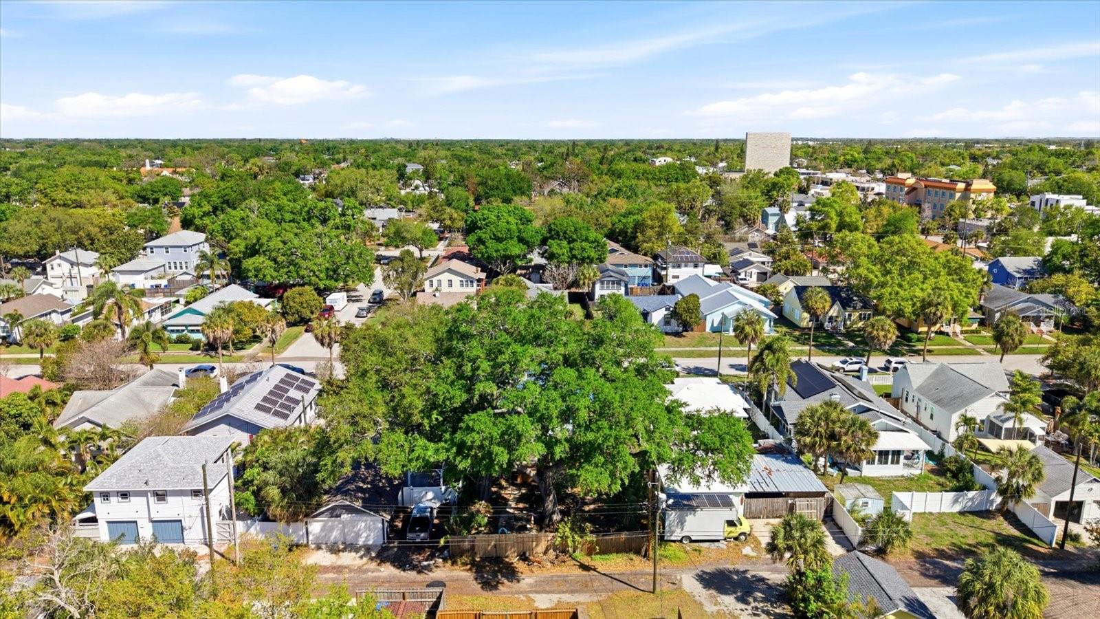 PINEWOOD - Residential