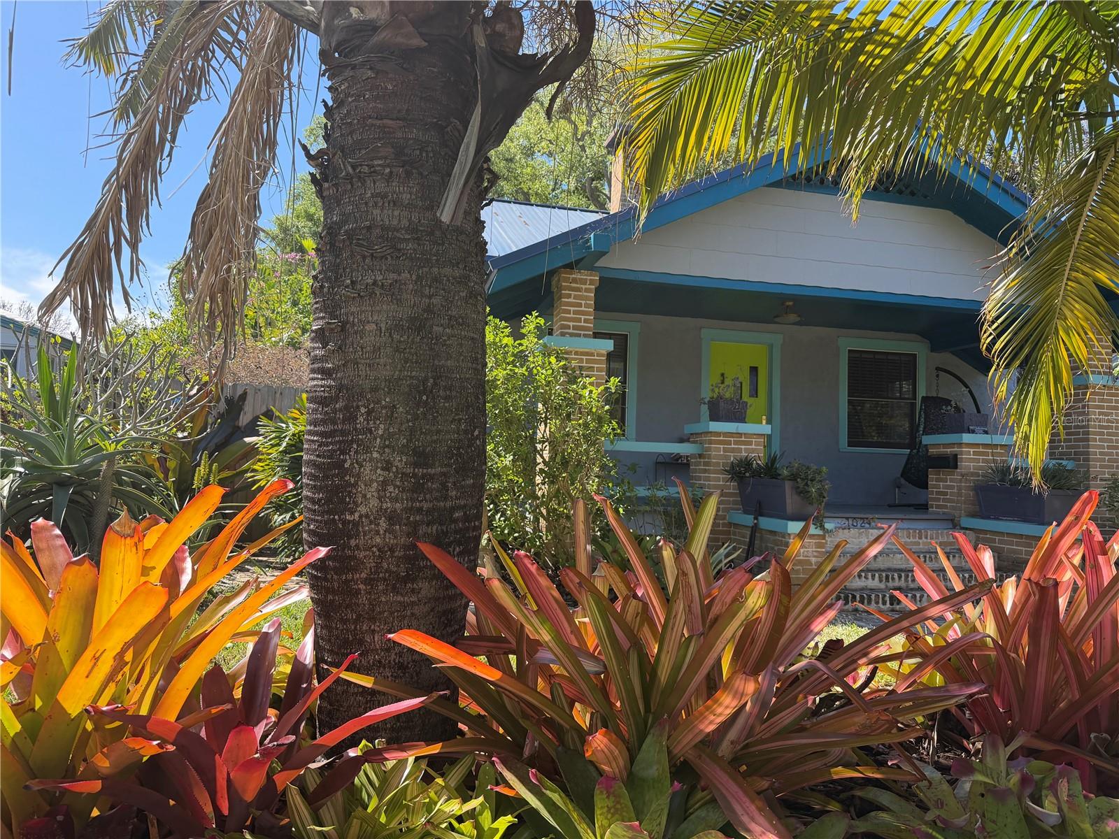 PINEWOOD - Residential