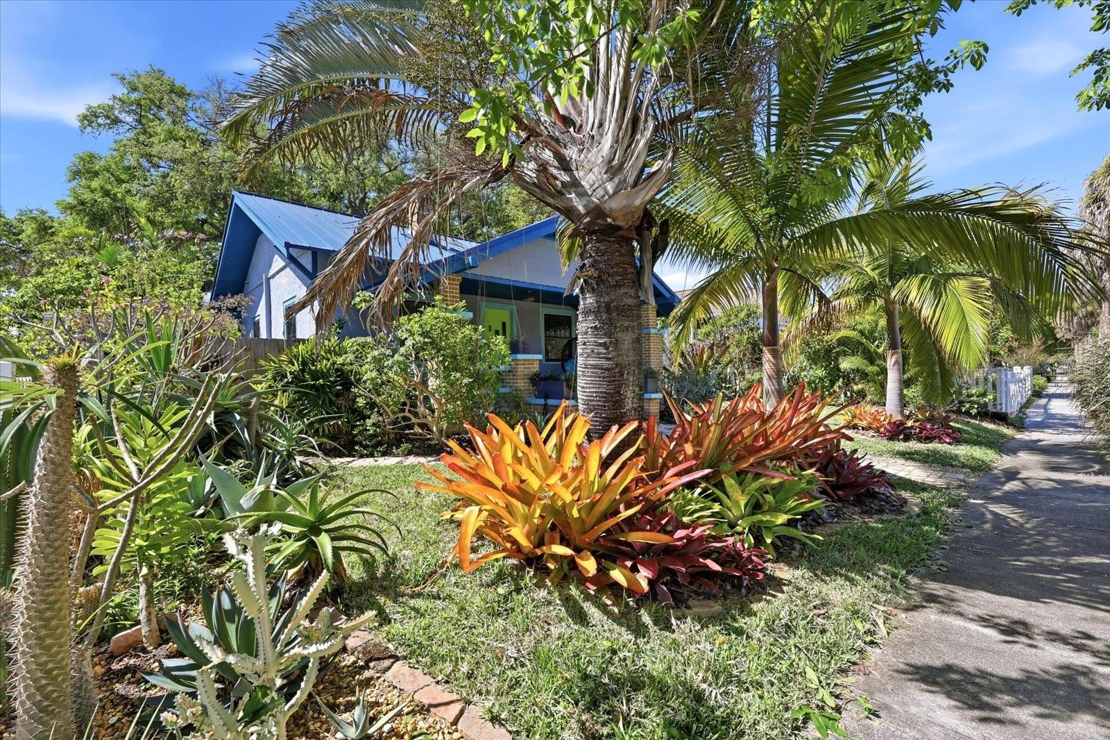 PINEWOOD - Residential