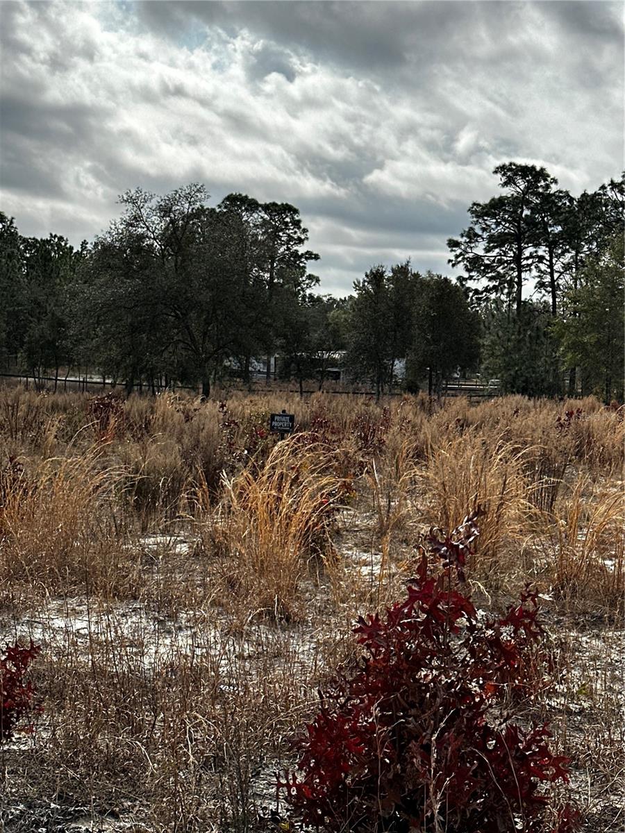 PAYNE ENTERPRISES - Land