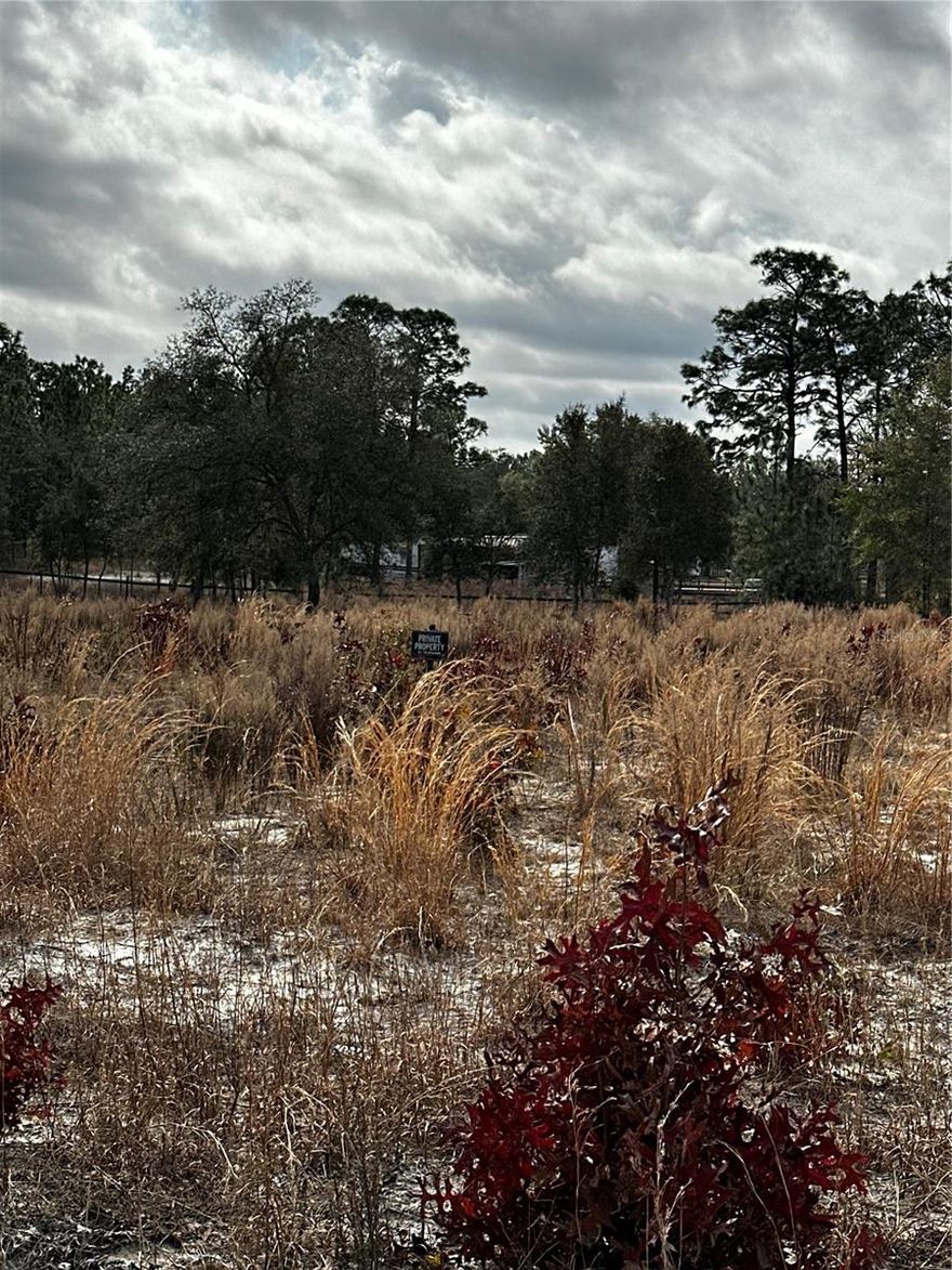 2.30 acres , Agricultural C L E A R E D  land , perfect for a mini-farm. Zone for mobile homes or single family homes.  Just 7 minutes from Walmart Supercenter. 14 miles from the most beautiful attraction "Rainbow Spring Park" 9 miles from Dunnellon . It is the very close to 140th SW Avenue, which is a connections between 484 HWY and 40th HWY , both exits form I-75. Come and see it!!