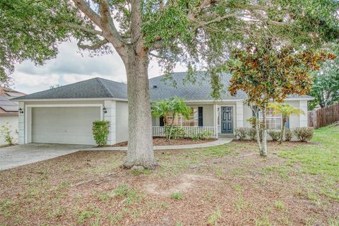 832 WILLOW RUN STREET MINNEOLA FL 34715